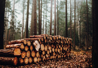 Bergs Timber – Vi tackar för kalaset
