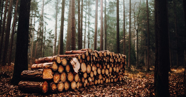 Bergs Timber – Vi tackar för kalaset